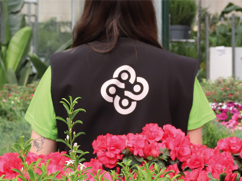 Nace el blog de Veraleza: un nuevo espacio para compartir el camino